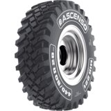 Ascenso 460/70 R24 159A8/B MIR221 - Skladišče 8 (Dostava 1 delovni dan) Cene