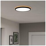 Eglo 901463-LED RGBW stropna kupatilska svetiljka ROVITO-Z 13,9W/230V prečnik 30 cm IP44 crna | Eponuda.com