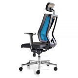  Ergonomska stolica promax plava | Eponuda.com