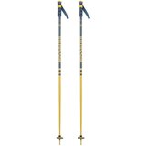 Rossignol Ski štapovi Stove Hero Grip Teal/Mustard - 120cm Cijene