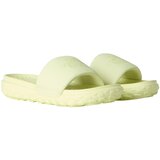 The North Face Never Stop Cush Slide papuče | Eponuda.com