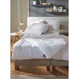 Billerbeck celoletna odeja classic clean uno 135/200 cm | Shoptok.si