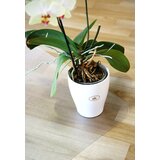  Za stol 150 x 120 cm, za trda tla | Shoptok.si