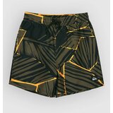 Quiksilver Everyday Printed Volley 14 Kids Boardshorts grape leaf natural geo Cene
