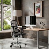 MID.YOU Pisarniški Stol Ergohuman Base I, Črna | Shoptok.si