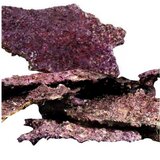 Natural reef rock - Plate rock | ePonuda.com
