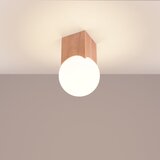 Nice Lamps Stropna svetilka v naravni barvi s steklenim senčilom 12x12 cm Rayer – | Shoptok.si