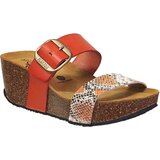 Plakton So rock Narančasta | shoptok.hr