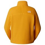 The North Face W 100 Glacier sarena | shoptok.hr