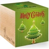 ecocube "Xmas" - Xmas 2