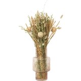 Plant in a Box posušeno cvetje - bouquet 'large angel' - šopek - rjava, (21758348) Cene