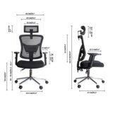 Olimp Sport Ergonomska kancelarijska stolica UGD Balance D90 | Eponuda.com