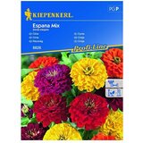 KIEPENKERL Profi-Line Sjeme cvijeća Cinija España Mix (Zinnia elegans, Raznobojno) KIEPENKERL Profi-Line Sjeme cvijeća Cinija España Mix (Zinnia elegans, Raznobojno) Slike