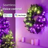 TWINKLY GD20P4425P00 - prigušiva LED RGB božićni venac, 50 LED, prečnik 60 cm, Wi-Fi | Eponuda.com