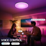 EREGOU Pametna LED Stropna Svetilka 24 W RGB: WiFi, Alexa, Google Assistant | Shoptok.si