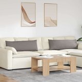 vidaXL Blazine za kavč 2 pcs Taupe 120 x 40 cm blago | Shoptok.si