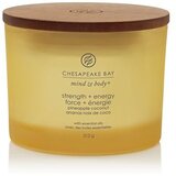 Chesapeake Bay Candle Mind & Body Strength & Energy dišeča sveča I. 312 g | Shoptok.si