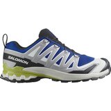 Salomon Nizke superge Xa Pro 3d V9 pisana Cene
