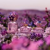 Marc Jacobs Daisy Paradise toaletna voda 50 ml za žene | shoptok.hr
