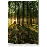 Artgeist PARAVAN 135/172/3 cm rumena, zelena | Shoptok.si