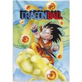 Grupo DRAGON BALL GOKU OKRASNI BANNER, (21299883) cene