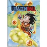 DRAGON BALL GOKU OKRASNI BANNER, (21299883)