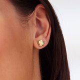 S'Agapo Click Nehrđajući Čelik Zlatne Naušnice SCK296 | shoptok.hr