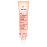Weleda Pregnancy and Lactation balzam za bradavice 25 g Cene
