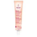 Pregnancy and Lactation balzam za bradavice 25 g