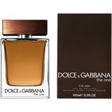 Dolce&gabbana the One For Men toaletna voda 100 ml za muškarce | shoptok.hr