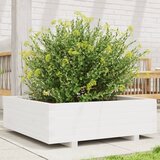 Furnova Vrtno cvetlično korito belo 80x80x26,5 cm trdna borovina, (21921398) | Shoptok.si