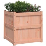  Vrtne sadilice 2 kom od masivne duglazije | shoptok.hr