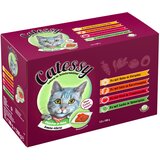Catessy Mešano pakiranje koščki v želeju mešana zelenjava - 12 x 100 g s 4 različnimi sortami | Shoptok.si