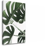  Slike na platnu biljke 009 (moderne slike na platnu) | ePonuda.com