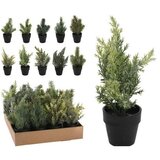  BOR U SAKSIJI 18CM SORTO | Eponuda.ba