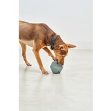 MiaCara Igrača za pse Dado Eucalyptus – | Shoptok.si