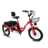 Emotion električni tricikl rider, 20