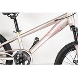 Winner Bike Dečiji bicikl 20” CHAMPAGNE/PINK | Eponuda.com