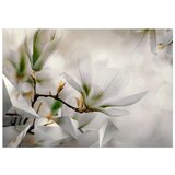  Samoljepljiva foto tapeta - Subtle Magnolias - Second Variant 98x70 | shoptok.hr