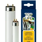žarnica toplife T5 - 24 w