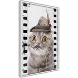  Poster - Dressed Up Cat 20x30 | shoptok.hr