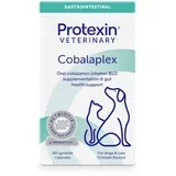Kapsule za pse i mačke Cobalaplex, 60 komada
