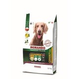 Morando hrana za pse grain free adult - govedina 15kg Cene