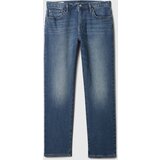GAP Straight Flex Jeans - Men's | Shoptok.si