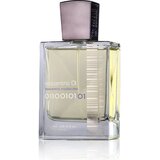 Fragrance World Esscentric Moolecules 01 parfemska voda 100 ml unisex Cijene