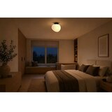 Brilagi Plafonsko svetlo PEBBLES 1xE27/40W/230V Ø 20 cm crna | Eponuda.com