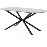 Hanah home Trpezarijski sto Aura-3013, 180x90x79 cm, Svijetlosiva | Eponuda.ba