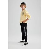 Defacto Regular Fit Pants | shoptok.hr