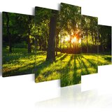 Slika - The forest reflection 100x50 Cijene