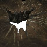  Stolić za kavu od prave tikovine 80 x 70 x 38 cm | shoptok.hr